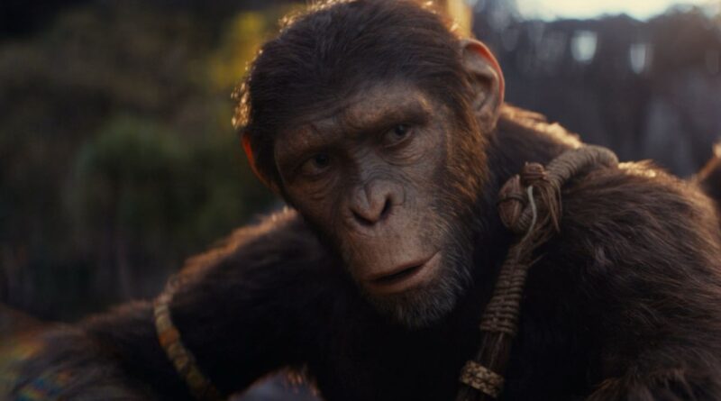 “Planeta dos Macacos: o Reinado” Vai dar certo?